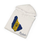 Barbados Flag Map Men Hoodie — Vintage Island Pride Pullover